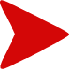Bullet Icon